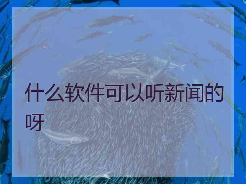 什么软件可以听新闻的呀