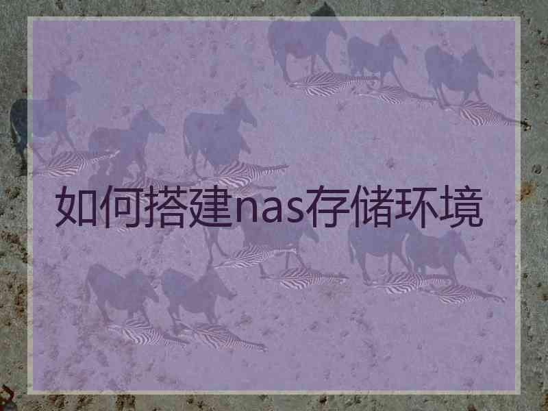 如何搭建nas存储环境