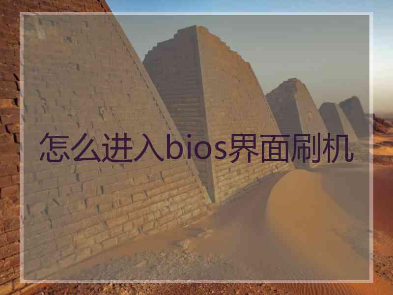 怎么进入bios界面刷机