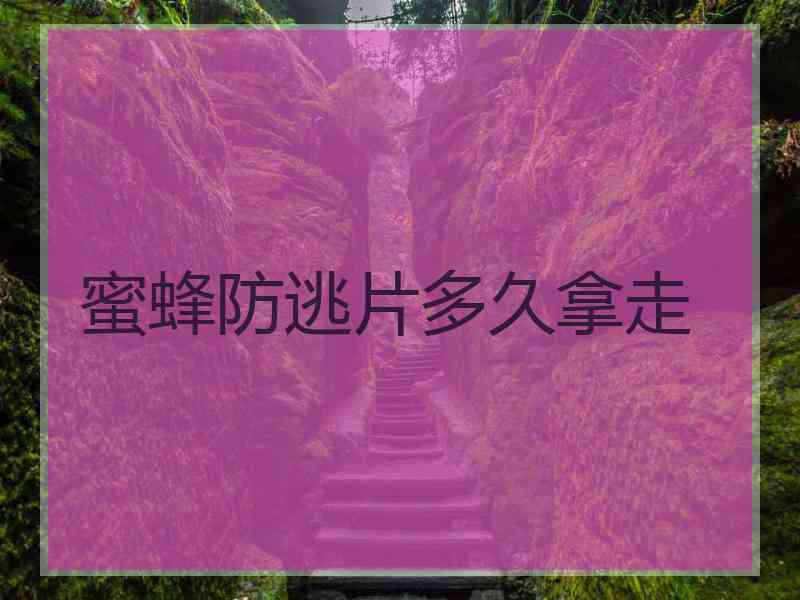 蜜蜂防逃片多久拿走