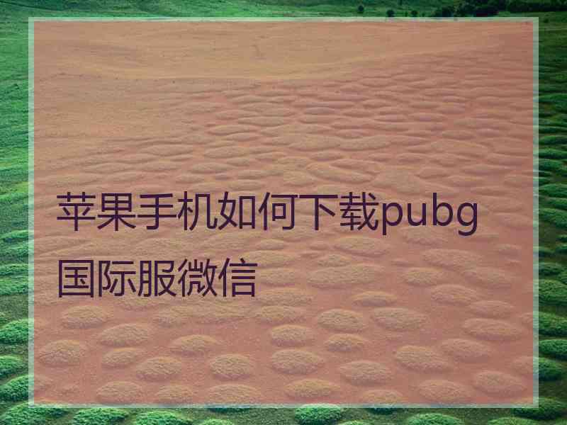 苹果手机如何下载pubg国际服微信