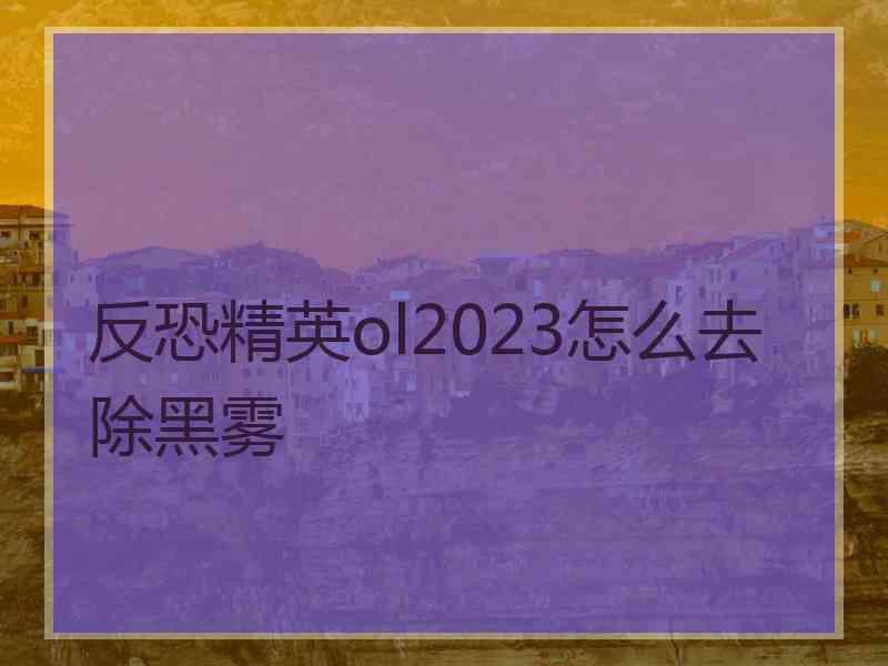 反恐精英ol2023怎么去除黑雾