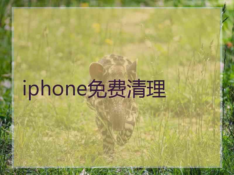 iphone免费清理