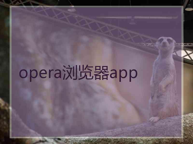 opera浏览器app