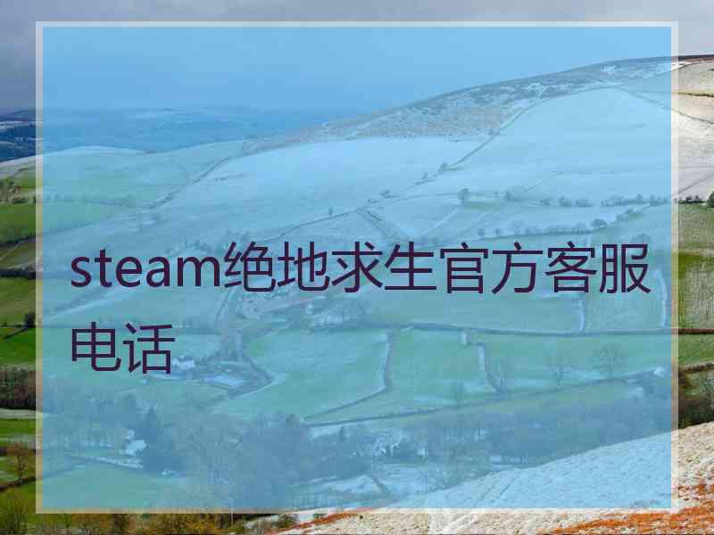 steam绝地求生官方客服电话