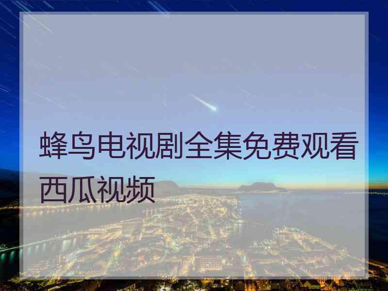 蜂鸟电视剧全集免费观看西瓜视频