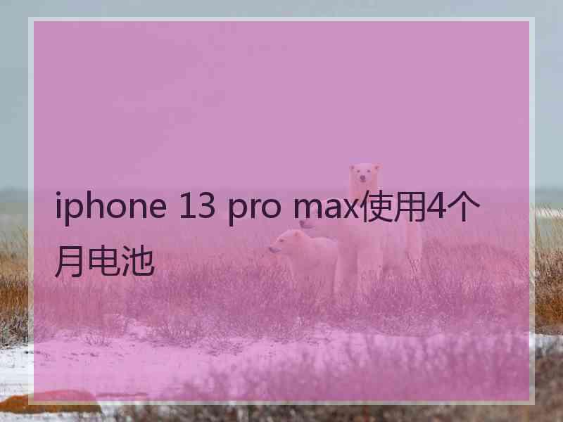 iphone 13 pro max使用4个月电池