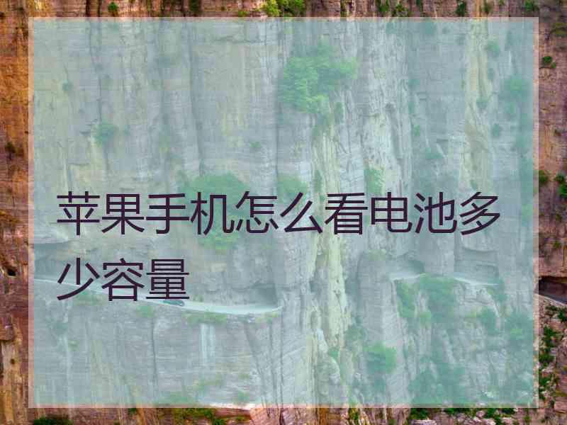 苹果手机怎么看电池多少容量