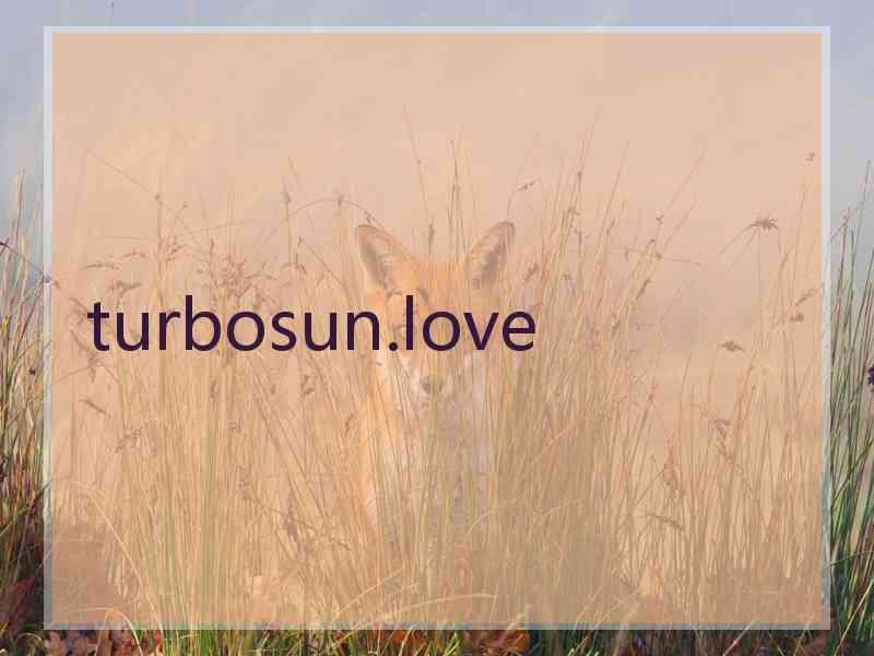 turbosun.love