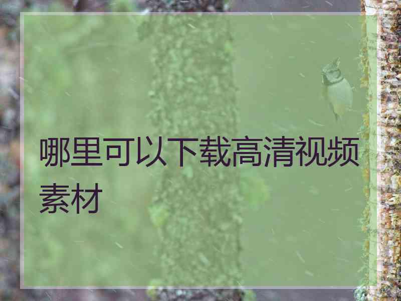 哪里可以下载高清视频素材