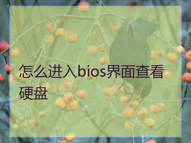 怎么进入bios界面查看硬盘