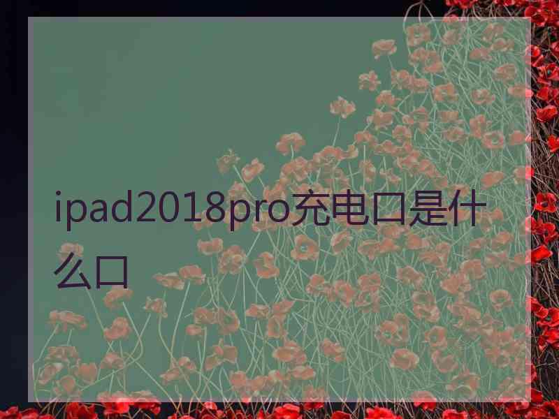 ipad2018pro充电口是什么口