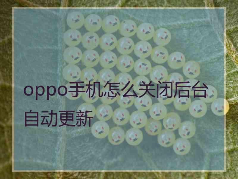 oppo手机怎么关闭后台自动更新