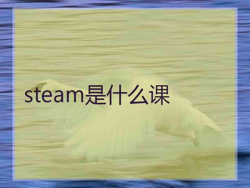 steam是什么课