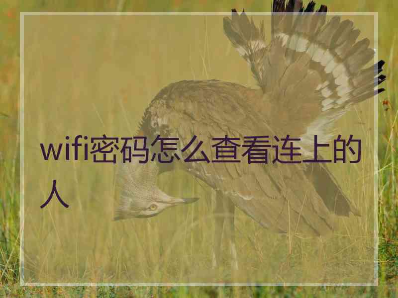 wifi密码怎么查看连上的人