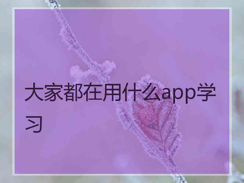 大家都在用什么app学习