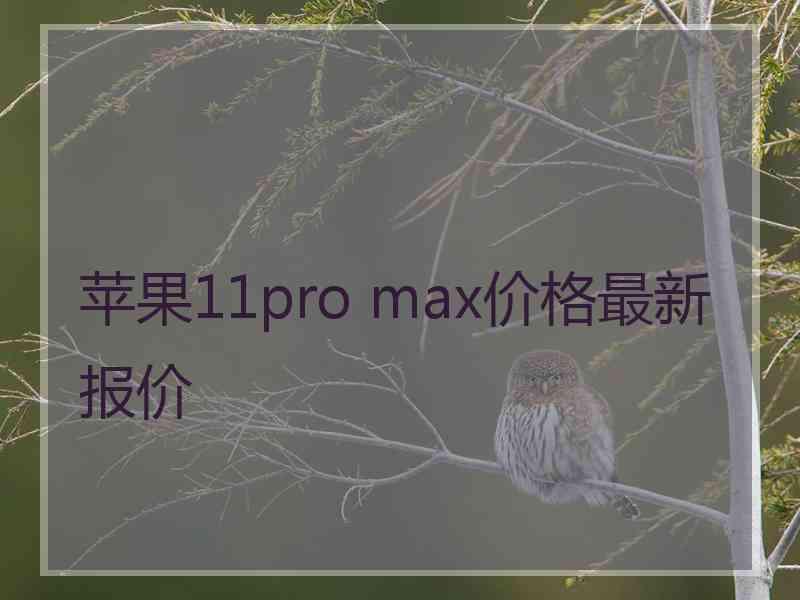 苹果11pro max价格最新报价