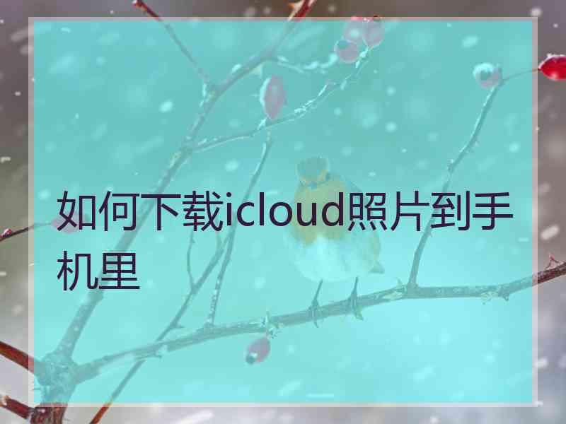 如何下载icloud照片到手机里