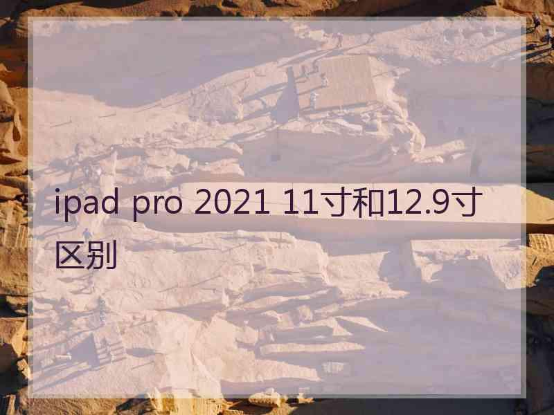 ipad pro 2021 11寸和12.9寸区别