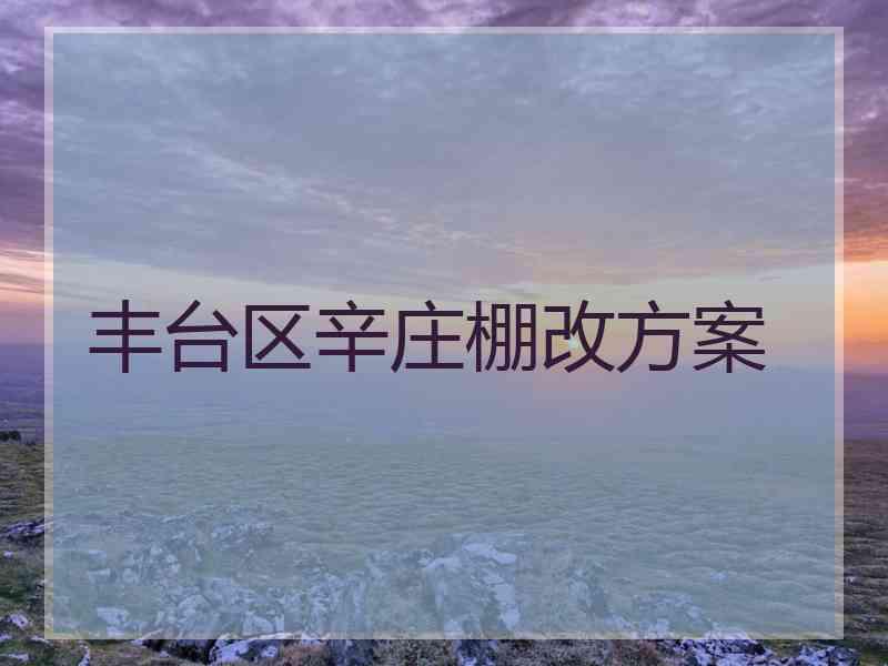 丰台区辛庄棚改方案