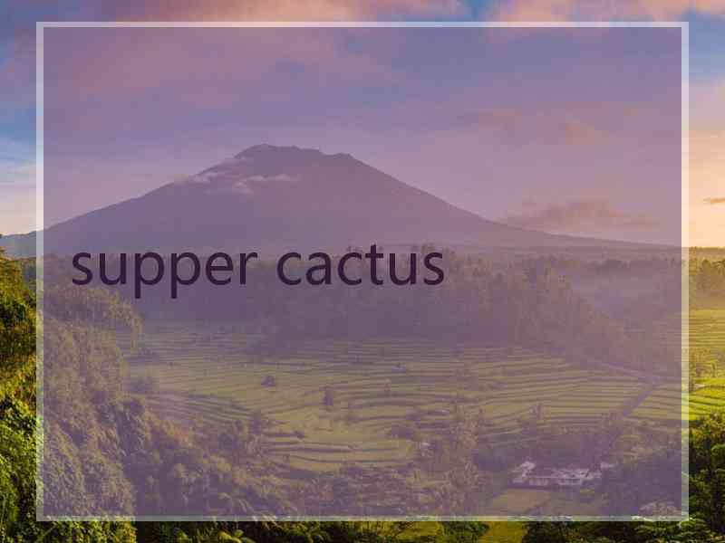 supper cactus