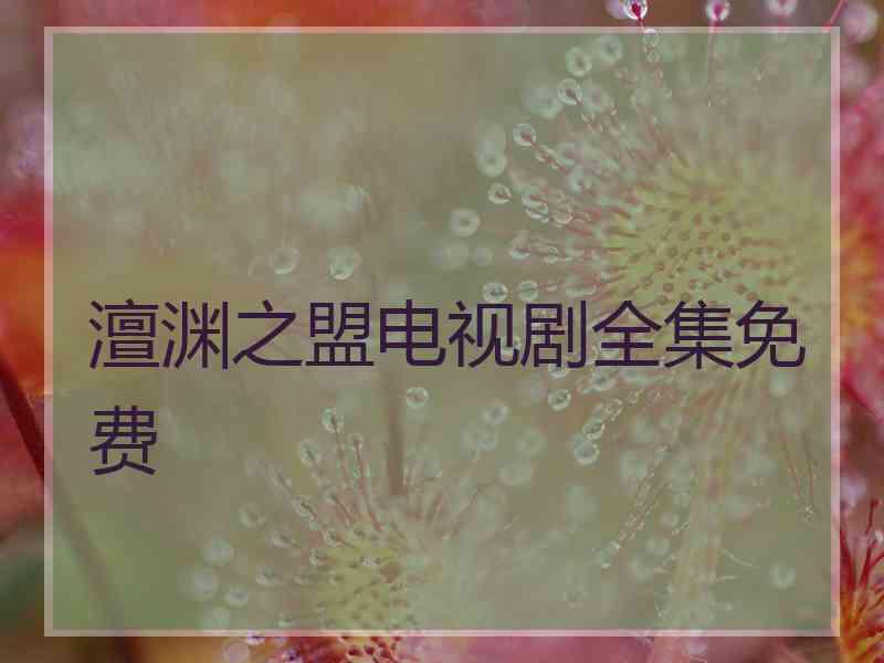 澶渊之盟电视剧全集免费