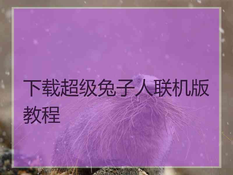 下载超级兔子人联机版教程