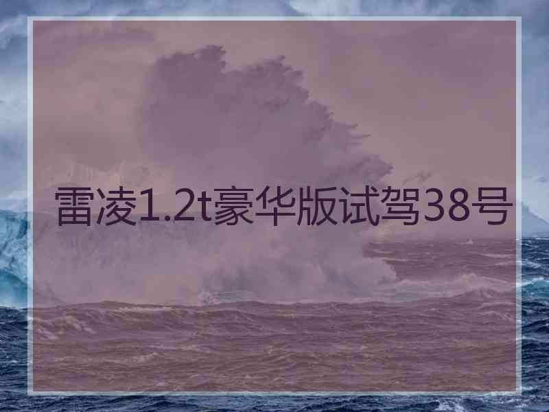 雷凌1.2t豪华版试驾38号