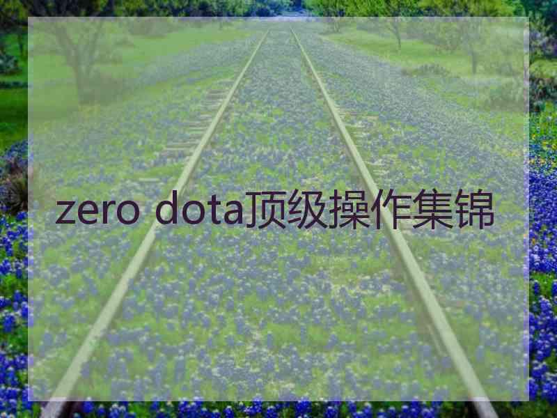 zero dota顶级操作集锦