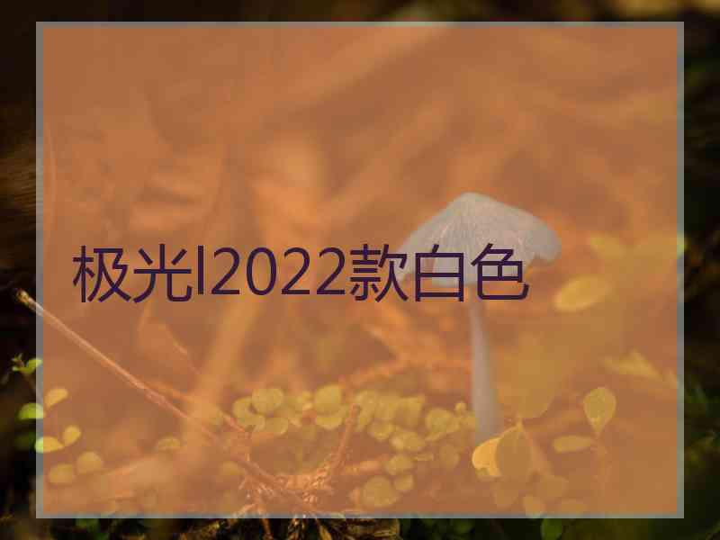 极光l2022款白色