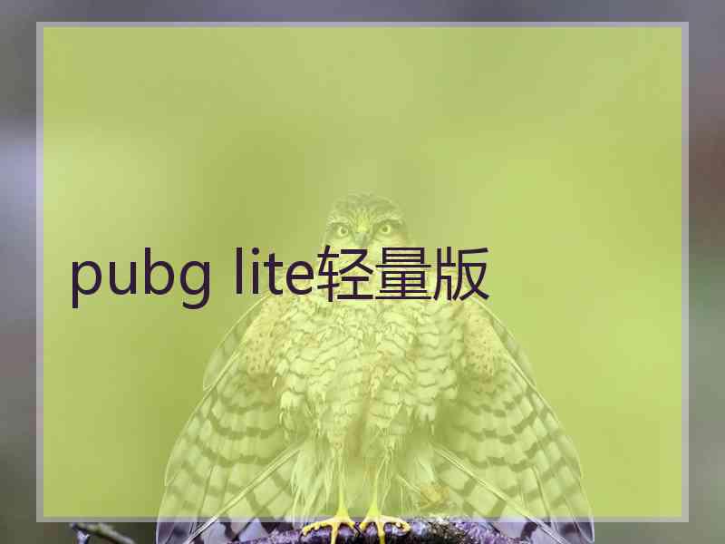 pubg lite轻量版