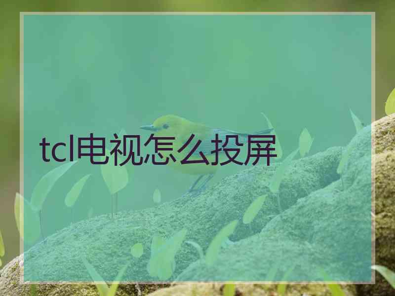 tcl电视怎么投屏