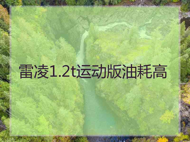 雷凌1.2t运动版油耗高