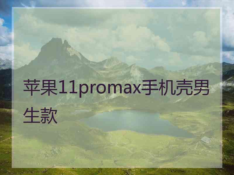 苹果11promax手机壳男生款