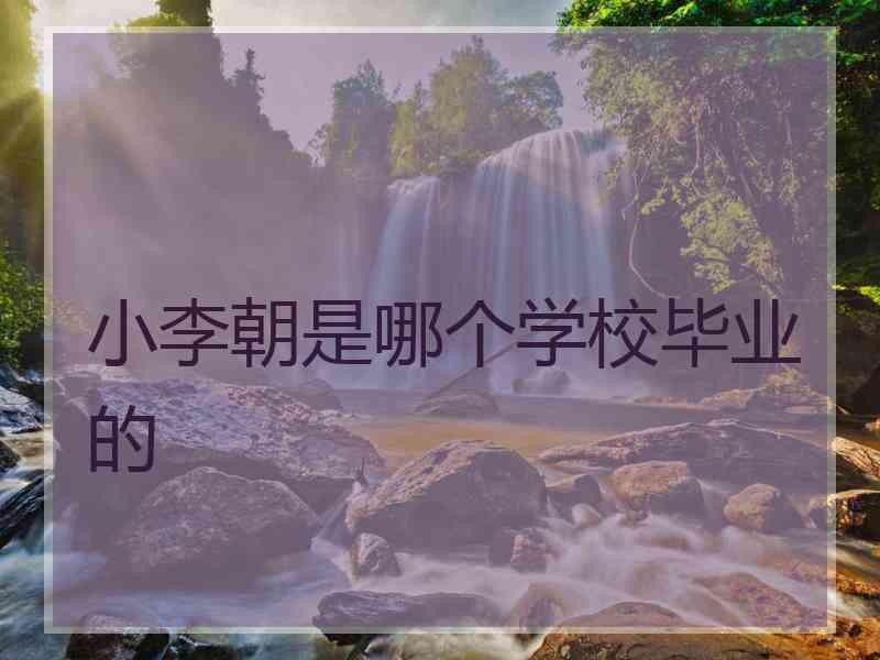 小李朝是哪个学校毕业的