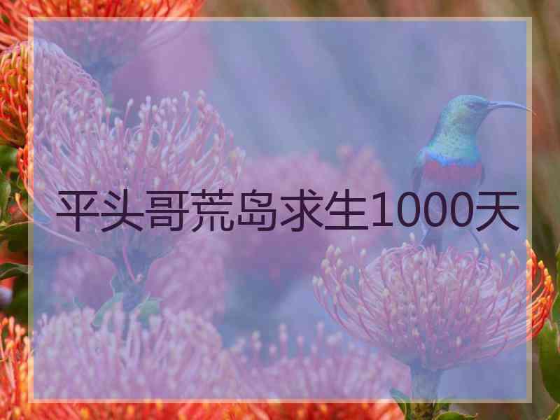 平头哥荒岛求生1000天