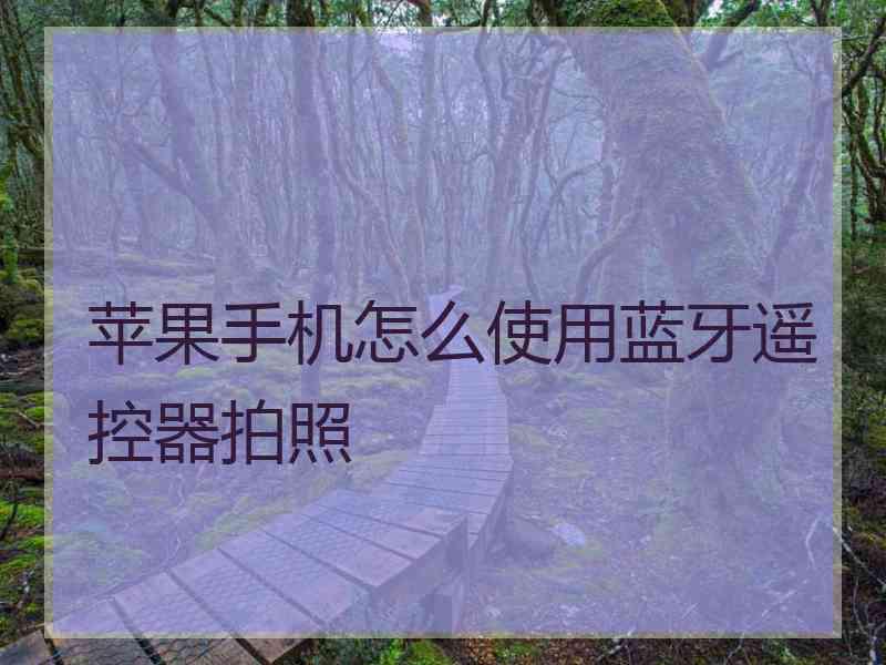 苹果手机怎么使用蓝牙遥控器拍照