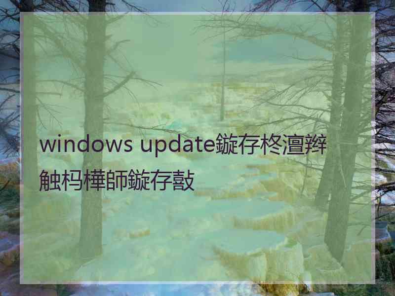 windows update鏇存柊澶辫触杩樺師鏇存敼