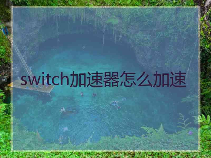 switch加速器怎么加速