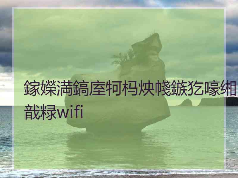 鎵嬫満鎬庢牱杩炴帴鏃犵嚎缃戠粶wifi