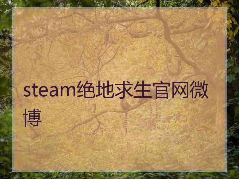 steam绝地求生官网微博