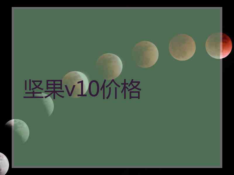 坚果v10价格