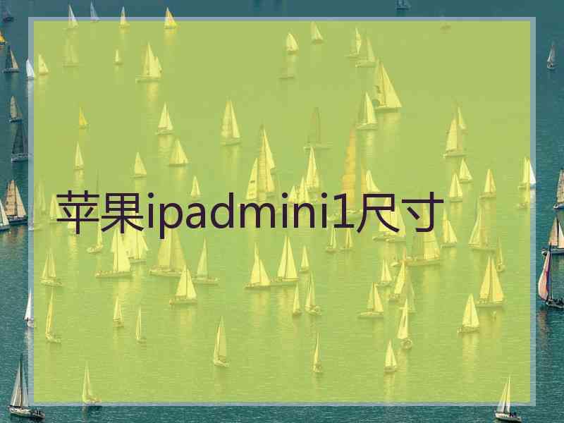 苹果ipadmini1尺寸