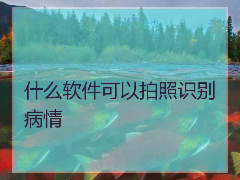 什么软件可以拍照识别病情