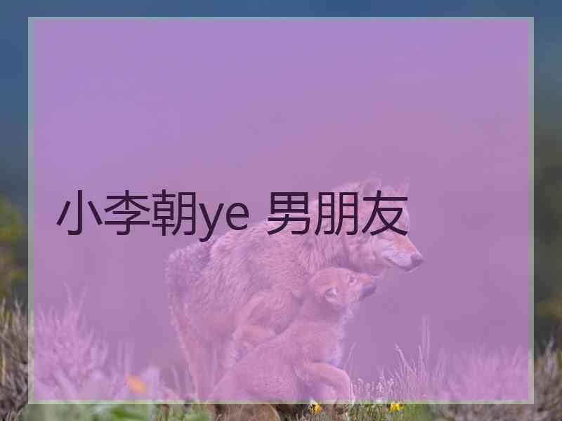 小李朝ye 男朋友