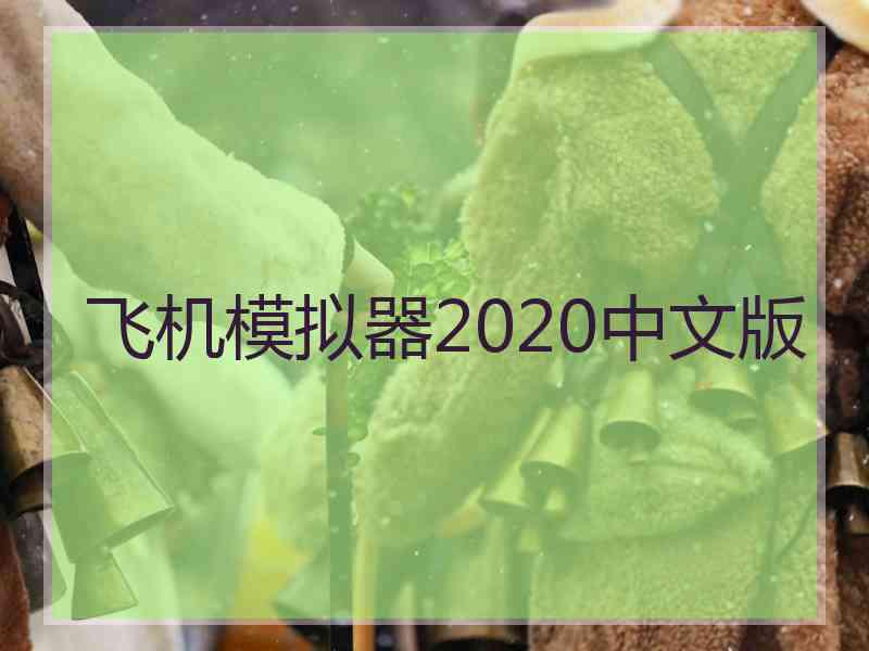 飞机模拟器2020中文版