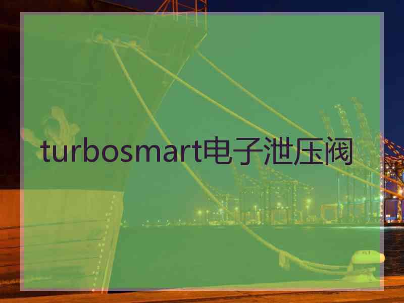 turbosmart电子泄压阀