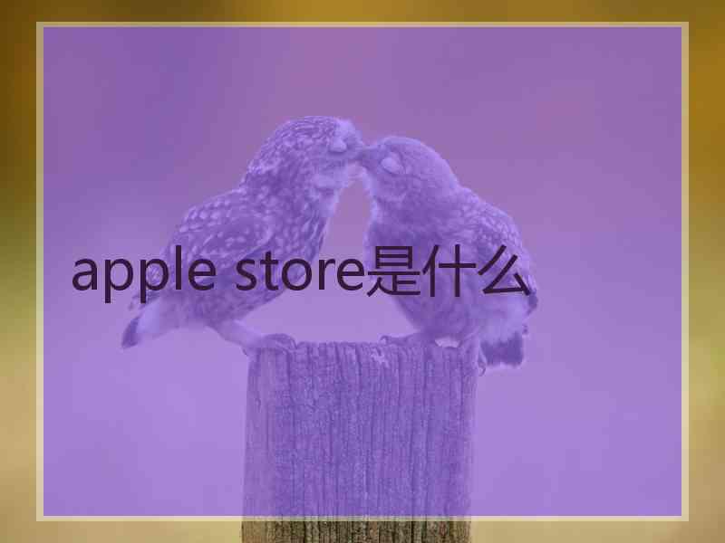 apple store是什么