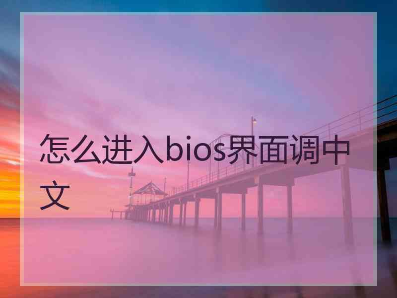 怎么进入bios界面调中文