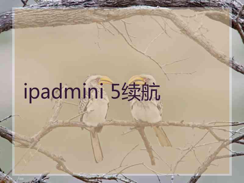 ipadmini 5续航